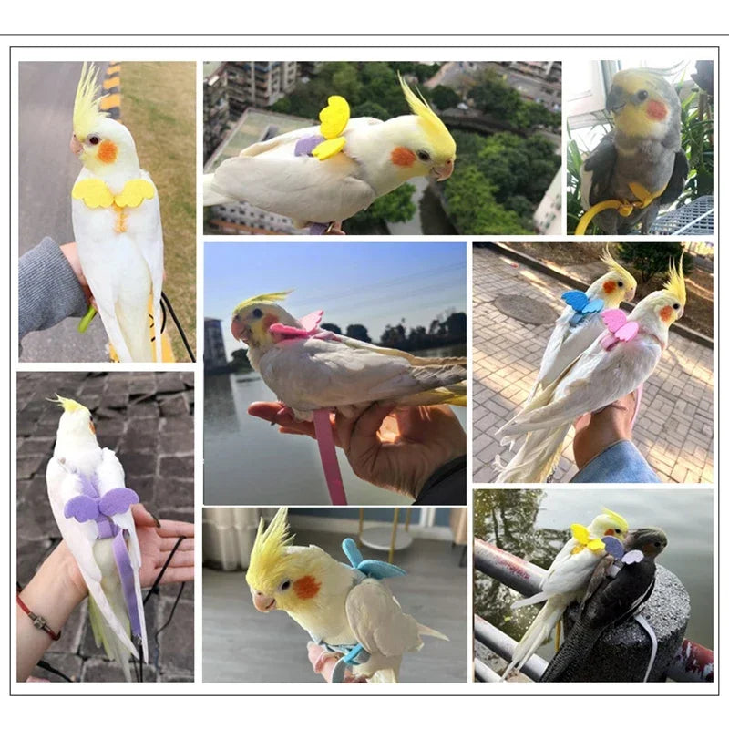 Parrot Flying Harness Leash Suit Pet Bird Outdoor Flight Training Rope Cockatiel Supplies Macaw Accessories Stuff For Budgie