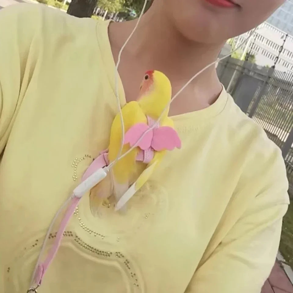 Parrot Flying Harness Leash Suit Pet Bird Outdoor Flight Training Rope Cockatiel Supplies Macaw Accessories Stuff For Budgie