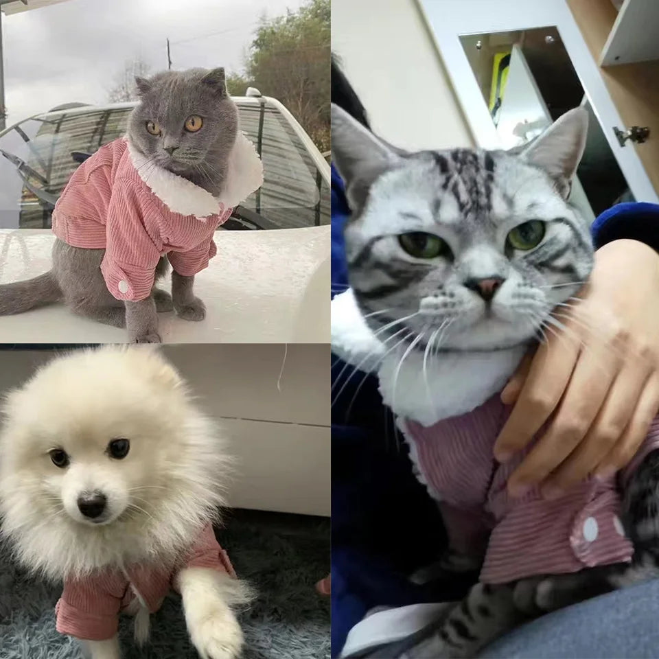 Windproof Pet Cat Clothes for Small Medium Cats Dogs Autumn Winter Cozy Thicken Fleece Kitten Striped Costume Chihuahua Outfits