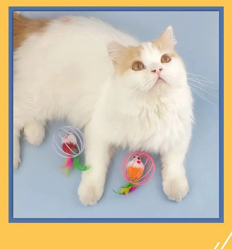 Popular Colorful Mouse in Cage Cat Toy Within Sand Interactive Chase Cat Mouse Toy